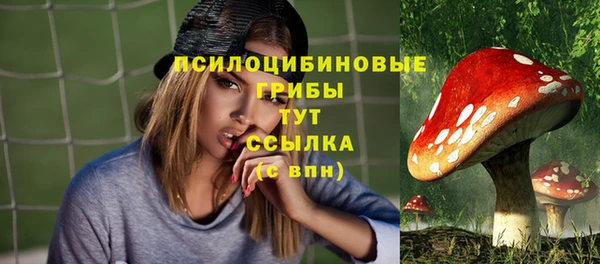 spice Кукмор